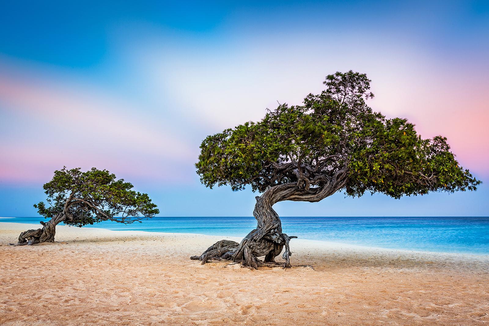 Explore the excellent dive sites of the ABC islands