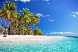 在开曼群岛见证世界上最好的潜水活动