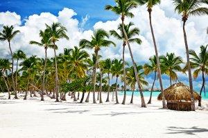 查看多米尼加共和国的顶级潜水地点 