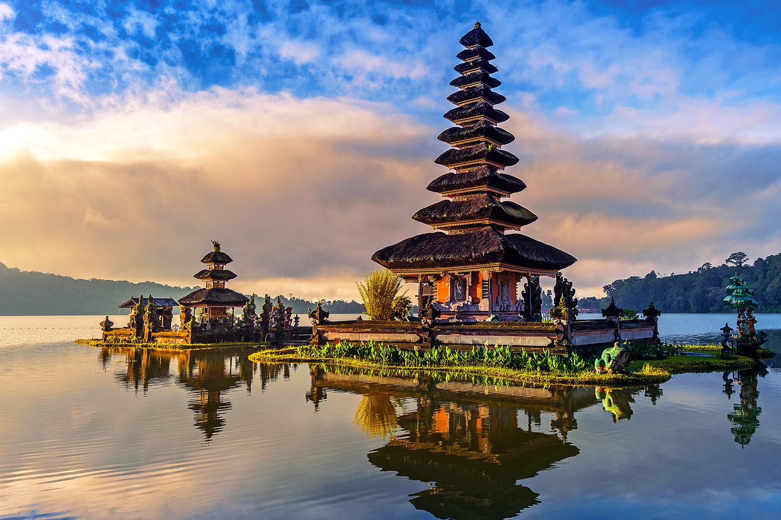 Dive the incredible biodiversity of Indonesia