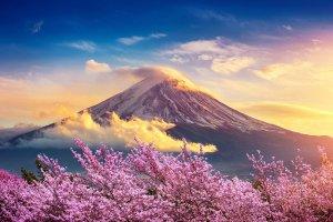 来体验日本丰富多彩的潜水活动 