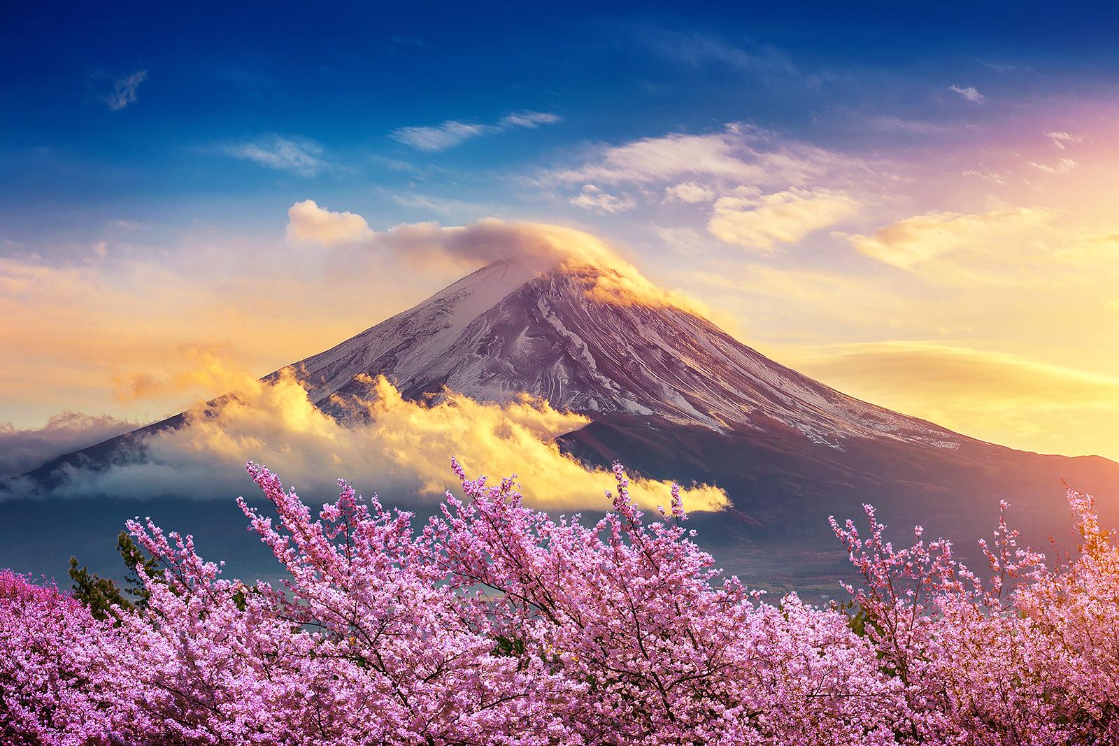 Come experience the wide variety of diving in Japan