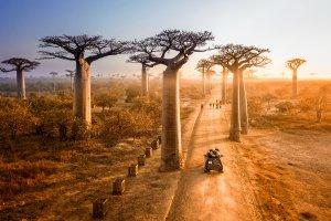 在马达加斯加潜水时观赏独特的海洋生物 