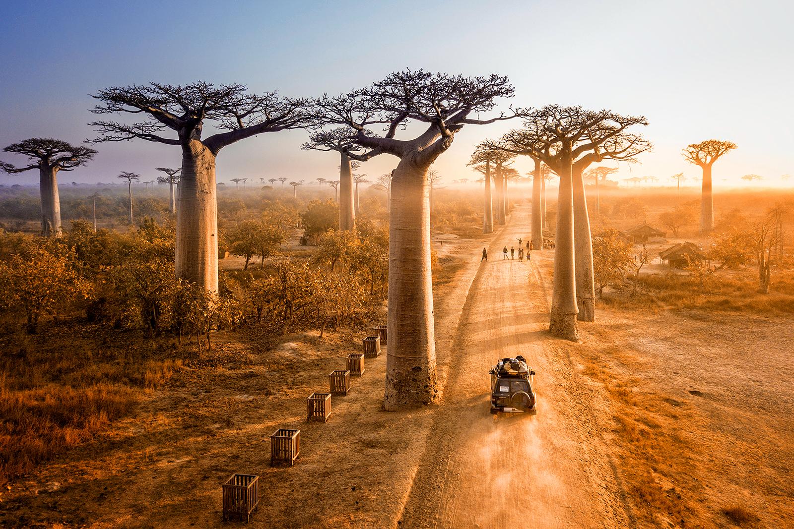 See unique marine life when diving in Madagascar