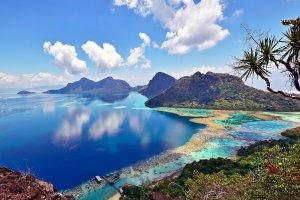 来马来西亚温暖清澈的海水中潜水吧