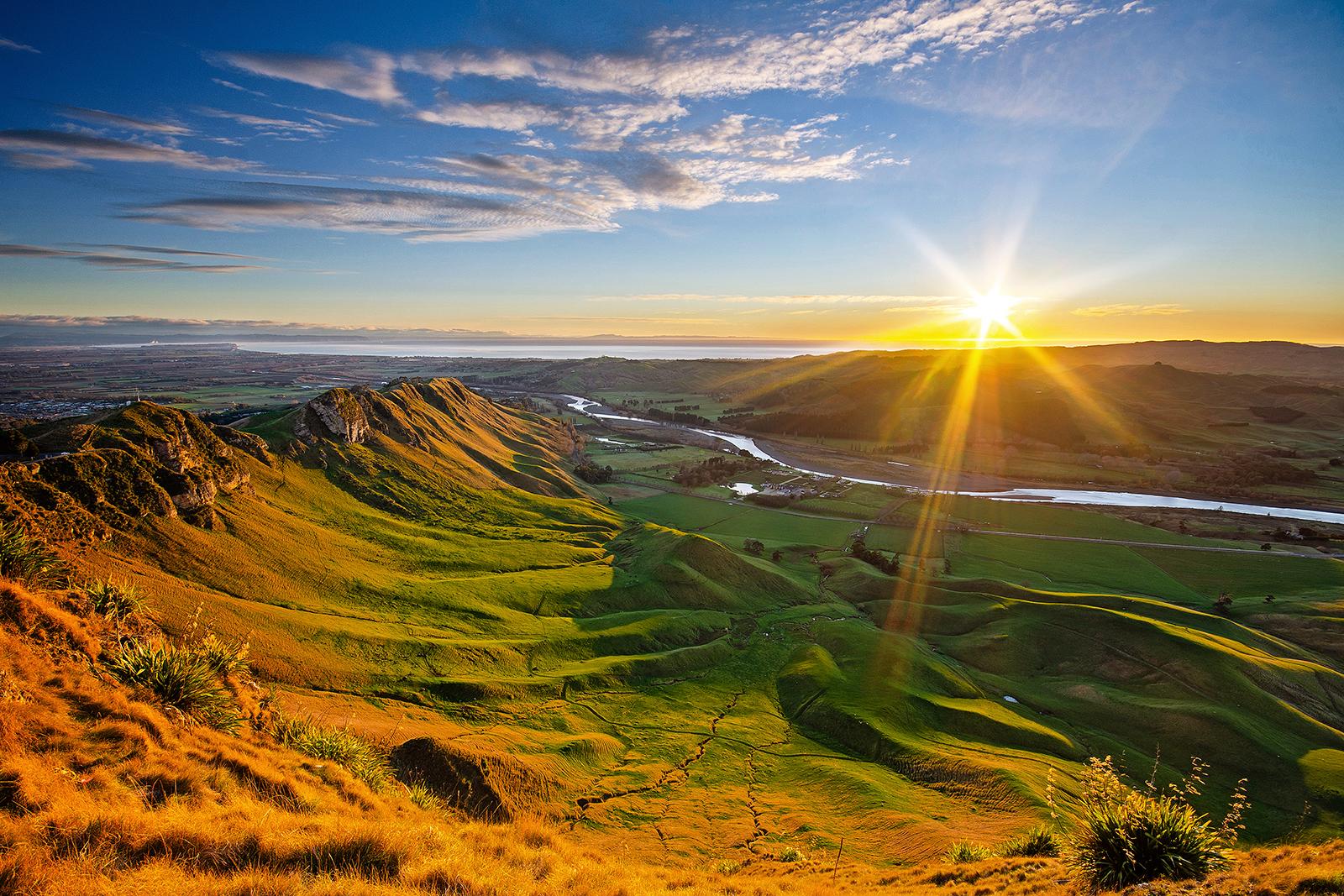 Discover diving in New Zealand