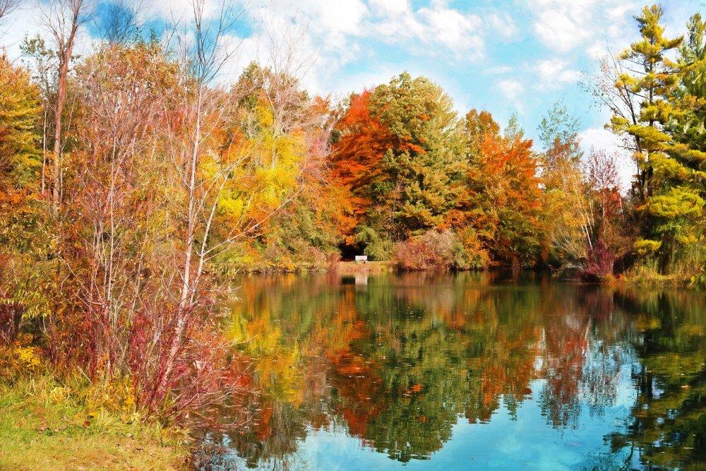 autumn lake (c) pixabay