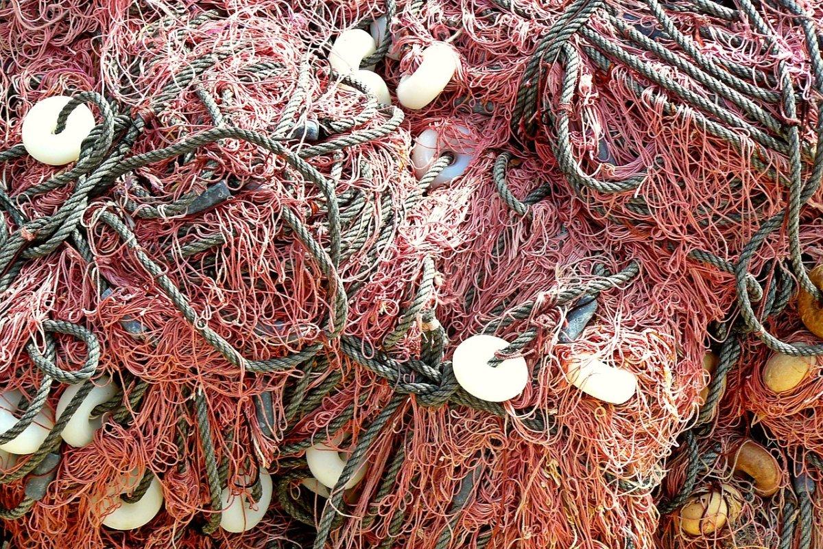 Overuse Fish Overfishing: 10 Essential Facts and How You Can Help